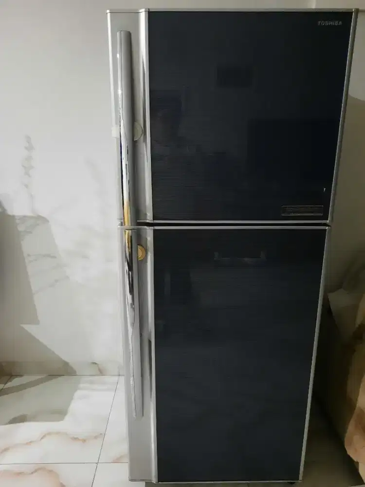 Kulkas 2 pintu merk samsung