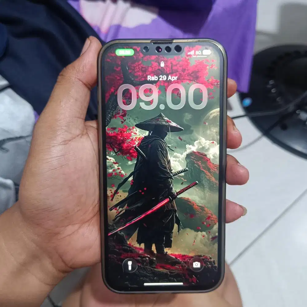 Ip 13 Promax Inter 256gb