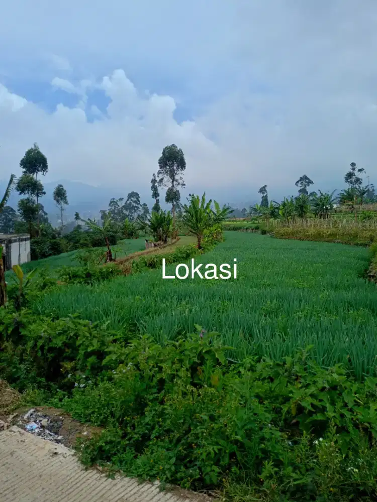 JUAL TANAH KOSONG DI RANCABALI CIWIDEY