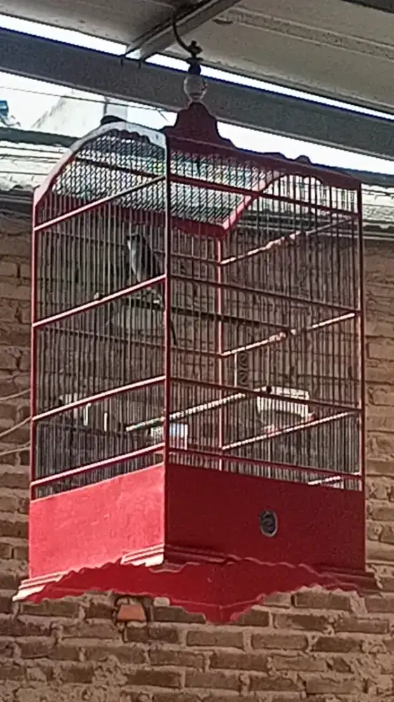 Pentet / toed / cendet rajin ada di Gedebage