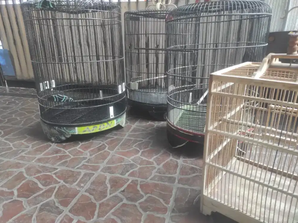 Kandang burung murai bulat kotak dan kandang umbaran