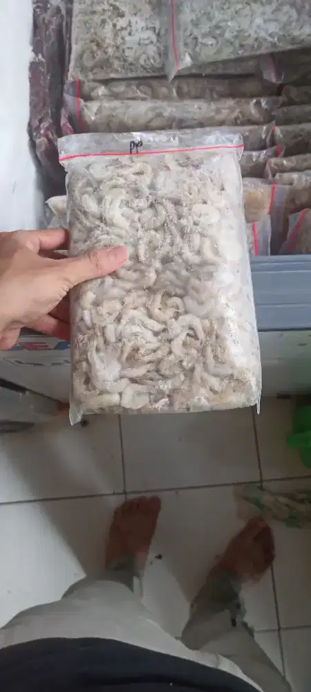 Udang api beku potong kepala pakan predator