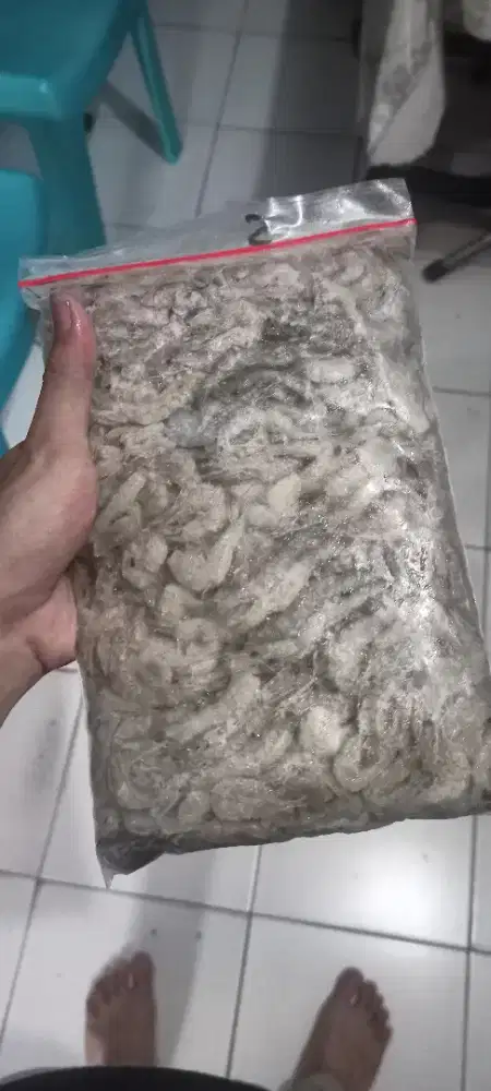 Udang api size s pakan ikan pakan