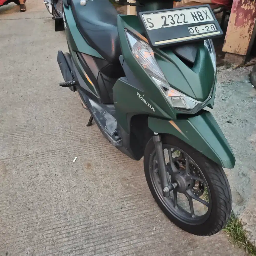 Beat 2023 komplit pajek hidup