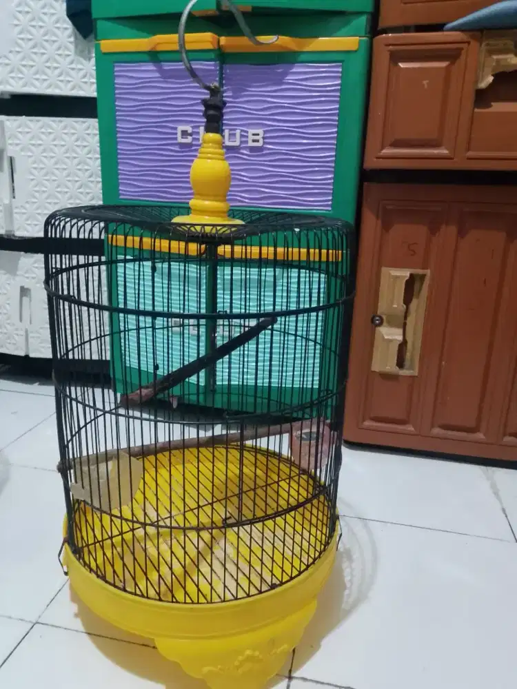 Kandang burung love bird ukuran jumbo sedang komplit cepuk