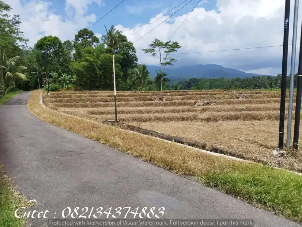 Dijual tanah luas, murah, dekat RS Charlie Kendal, cocok untuk investasi