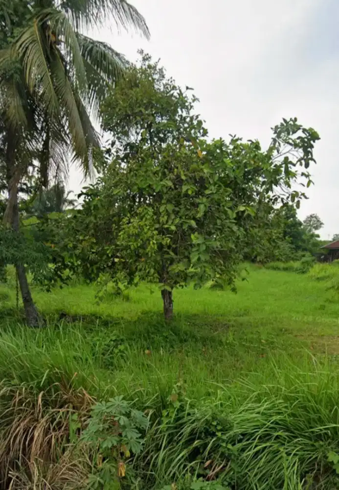 DIJUAL CEPAT!! TANAH DEKAT BANDARA KUALANAMU