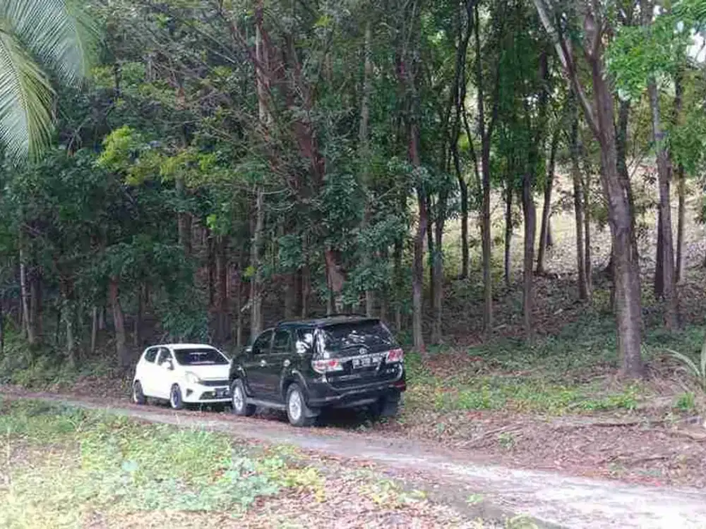 DIJUAL CEPAT TANAH SANGAT MURAH DAERAH TANAHWANGKO, HARGA DI BAWAH PASARAN