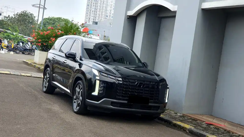 Hyundai Palisade Signature 2.2 Panoramic 2WD AT 2023/2024