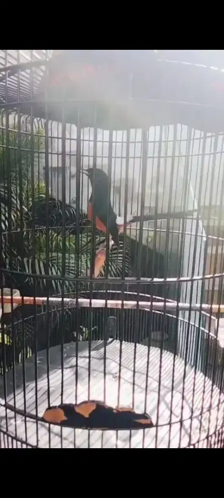 Muray Batu Medan Prestasi