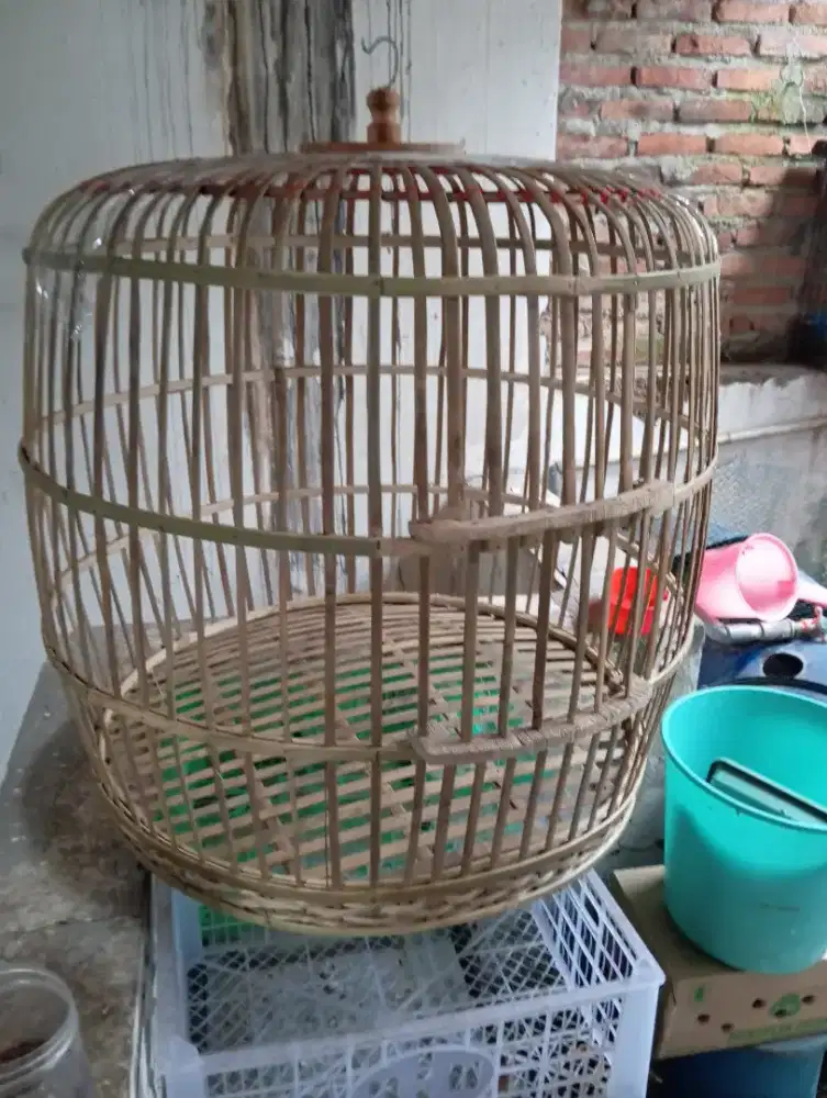 Kandang Ayam Bekisar dan AH