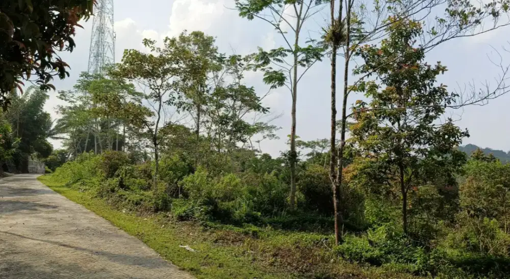 Dijual Murah Tanah kavling di Panawangan Ciamis Mainroad dekat kepasar