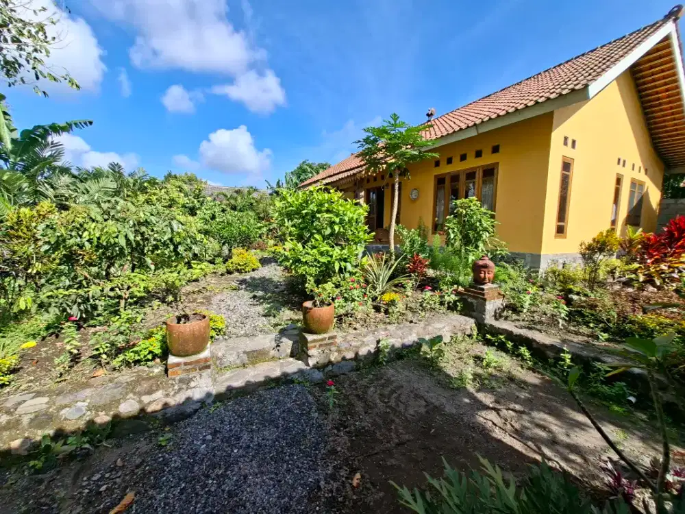 Villa for sale @ Turi area