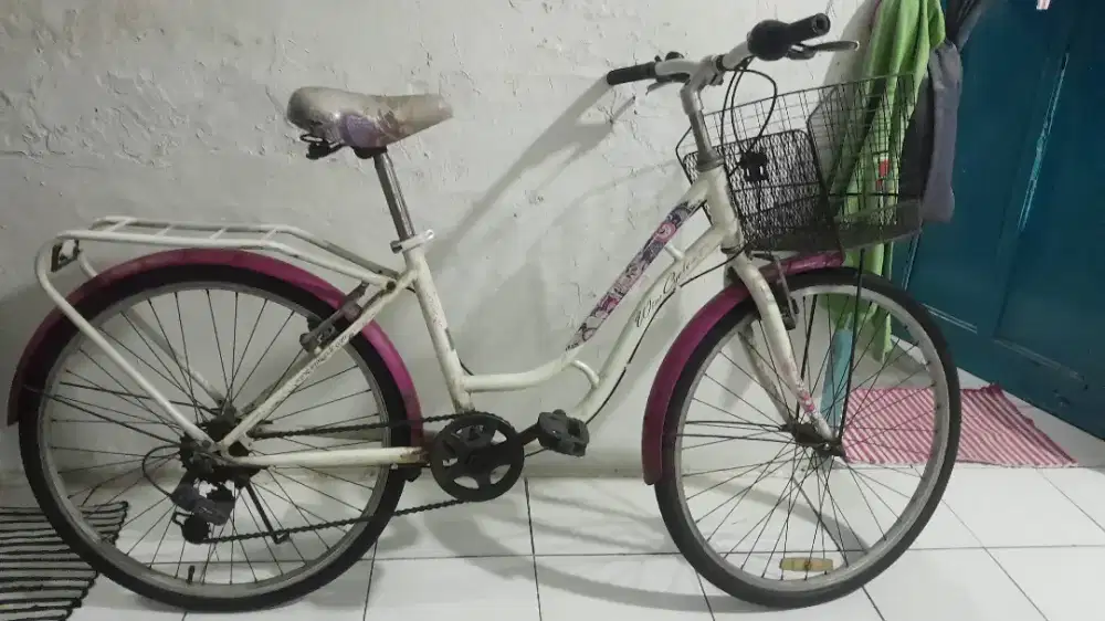 Sepeda wimcycle city bike ring 24