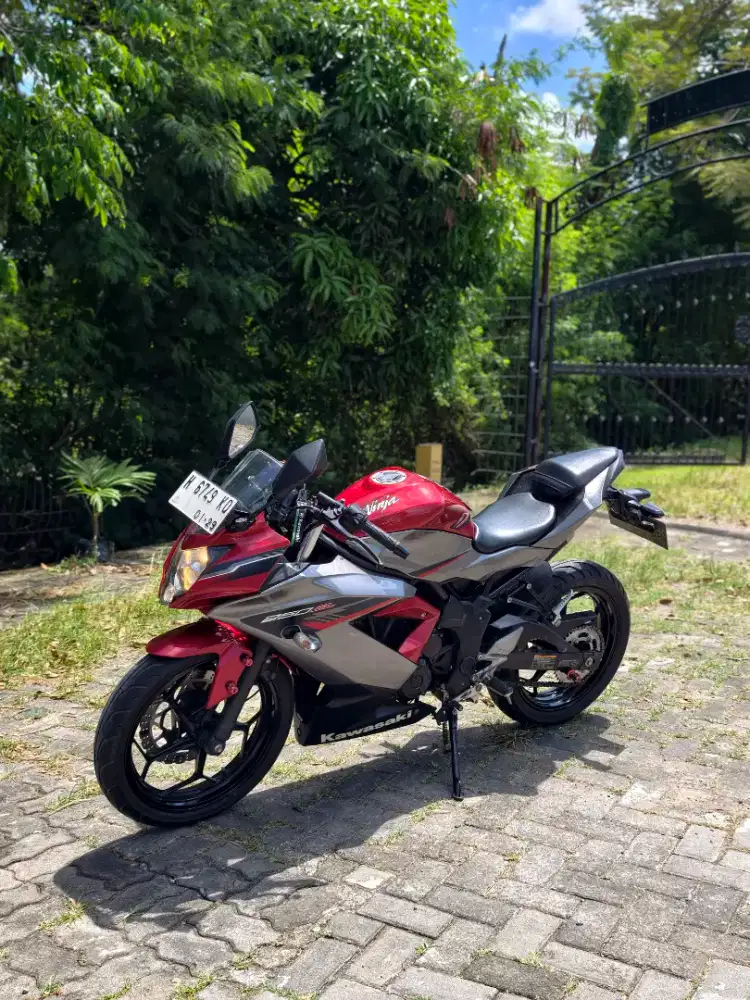 NINJA 250 FI 2019 NINJA 250 SL MONO RR MONO 250 SL
