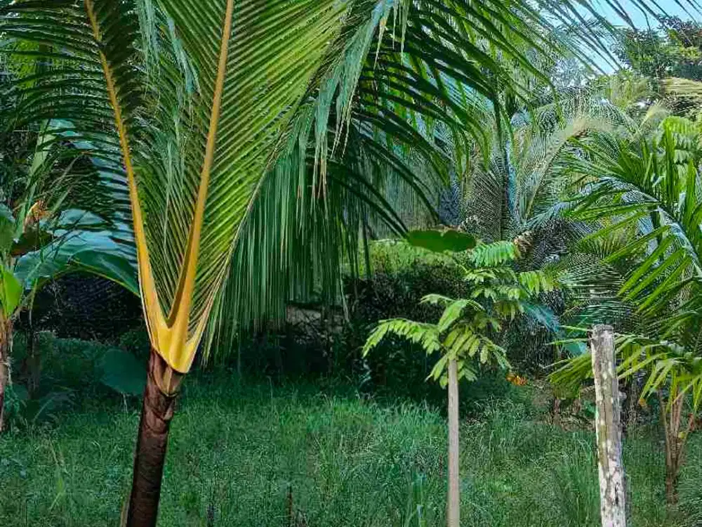 Tanah Dijual dekat airpot