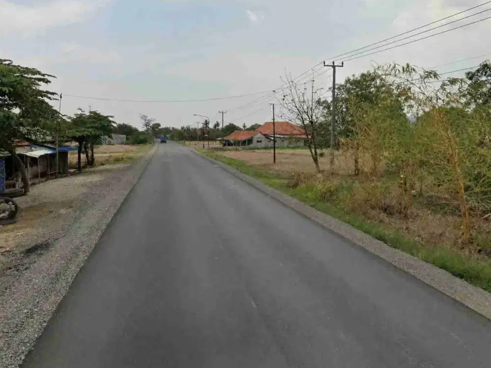 Kebun Mangga & Sawah 7600 m2 Jl. Raya  Sumedang