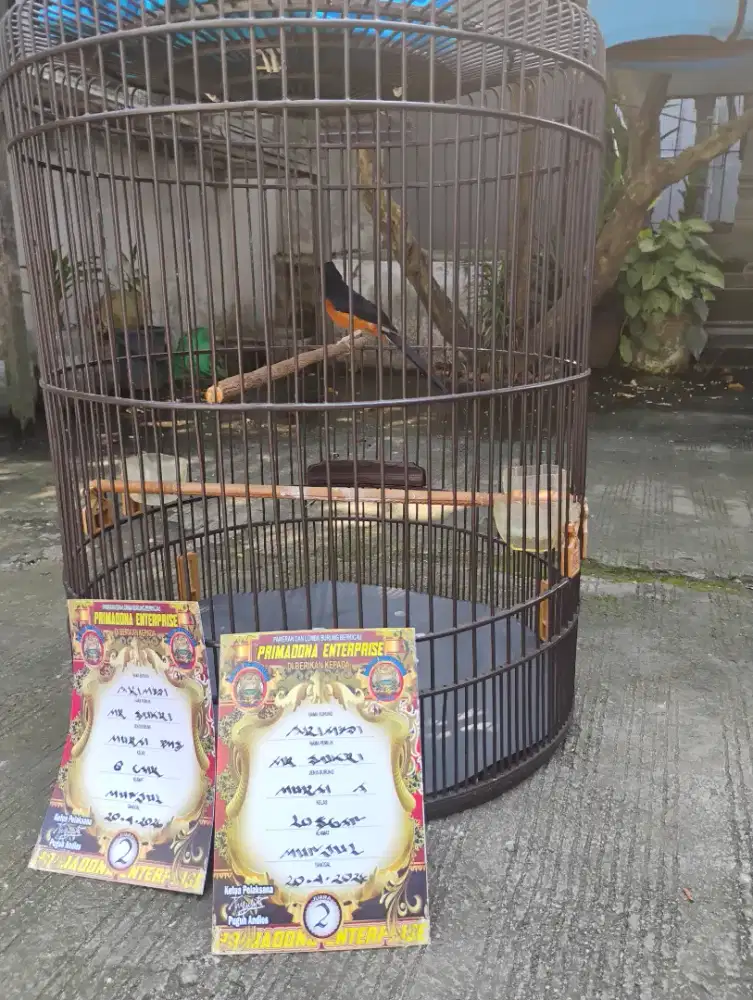 Hutan mapan prestasian