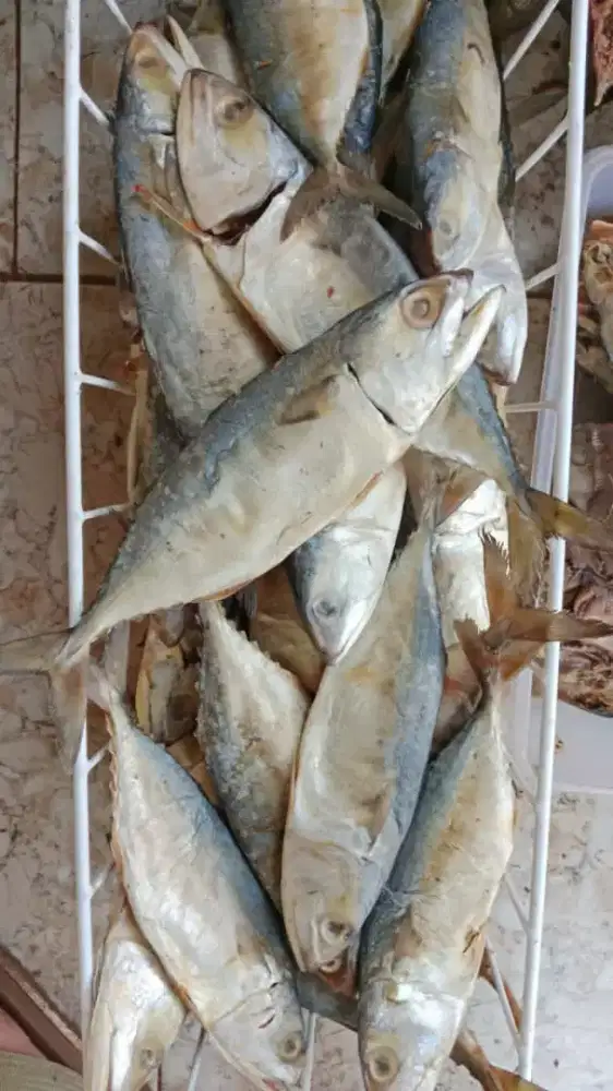 Ikan asin murah