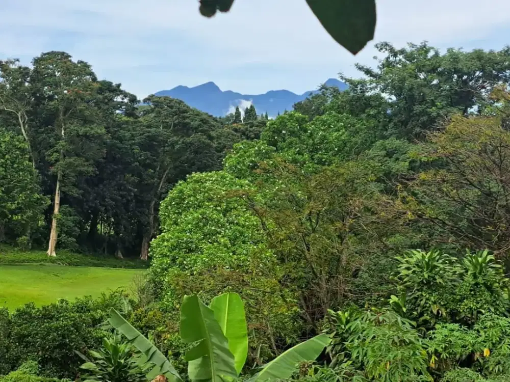 JUAL CEPAT TANAH DI GUNUNG GELIS SUMARECON SENTUL BOGOR PINGGIR JALAN RAYA