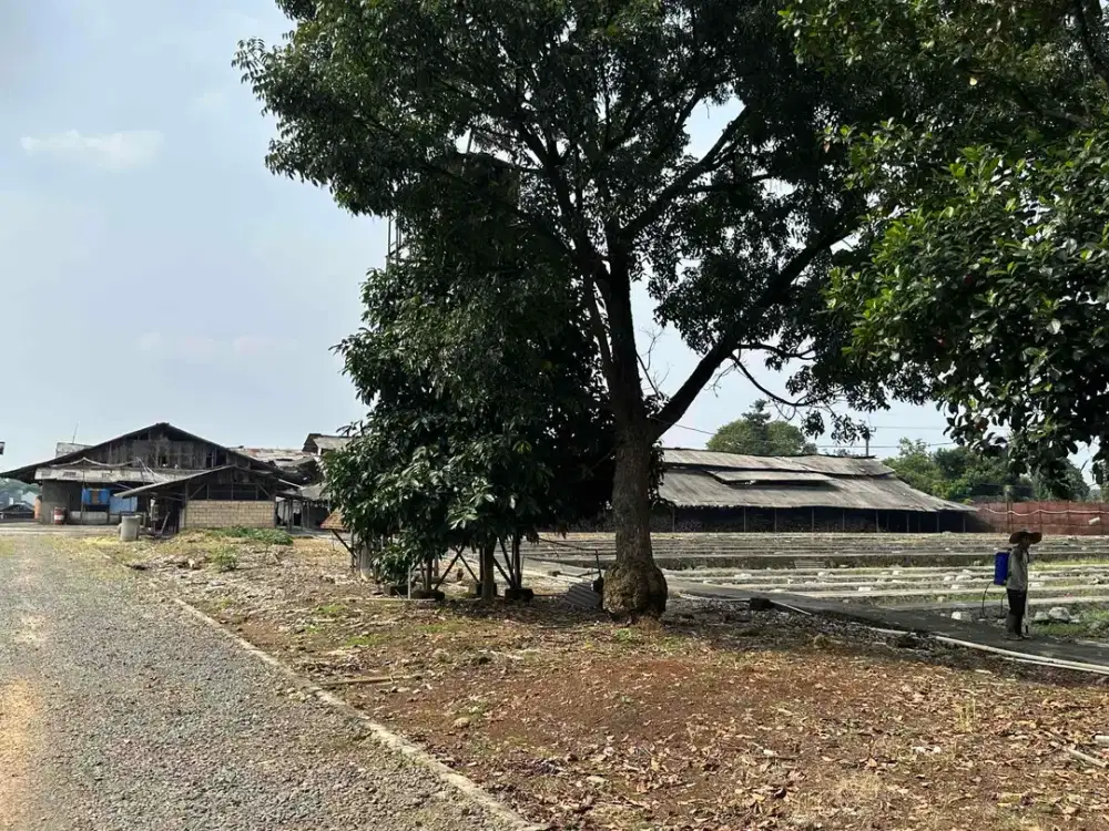 Di Jual Murah Kavling 4.7Ha Parung Bogor – Zona Industri & Gudang, Akses Jalan Besar