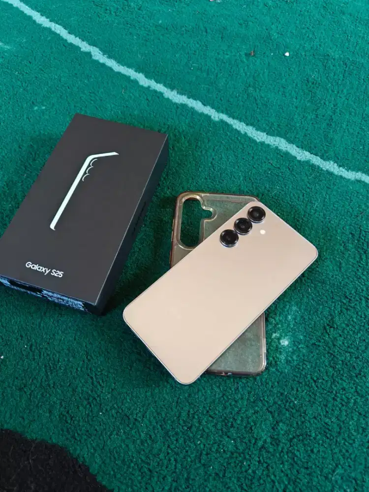 Samsung S25 Reguler 12/512 Ex sein