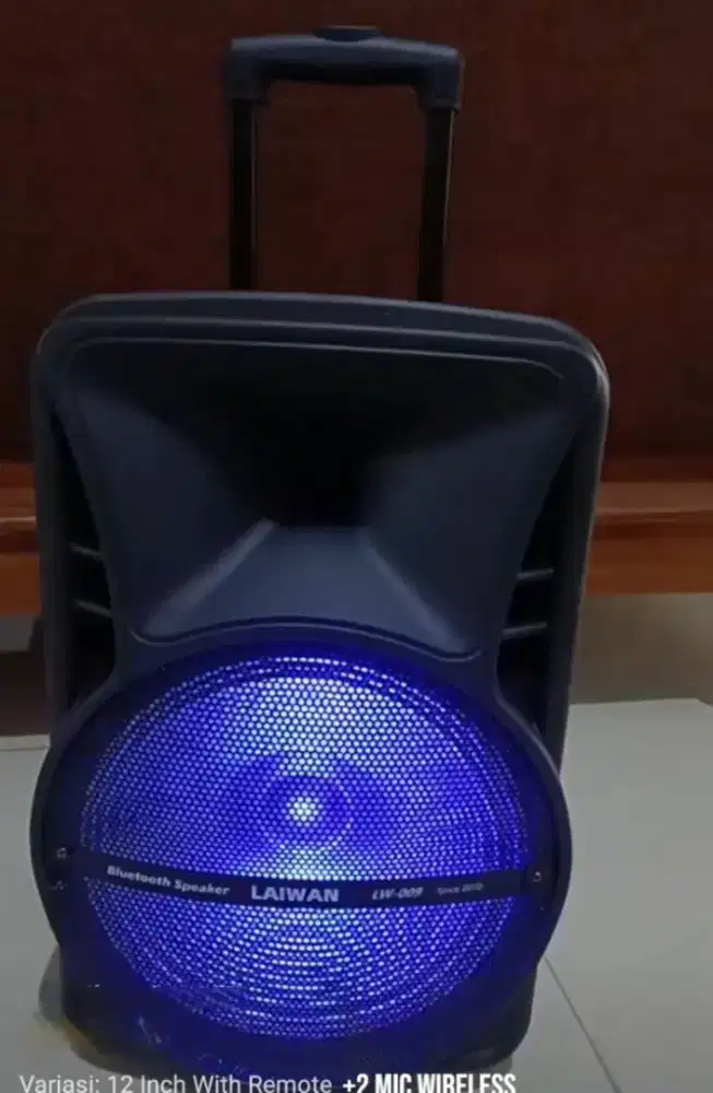 Speaker trolly 12 in dual mic wireless
