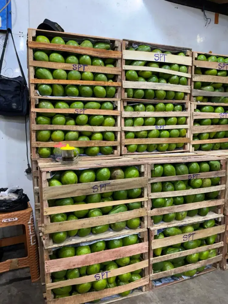 Pramuniaga/Pelayanan Toko