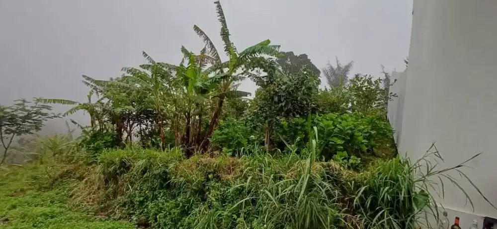 Land For Rent wanagiri hidden hill