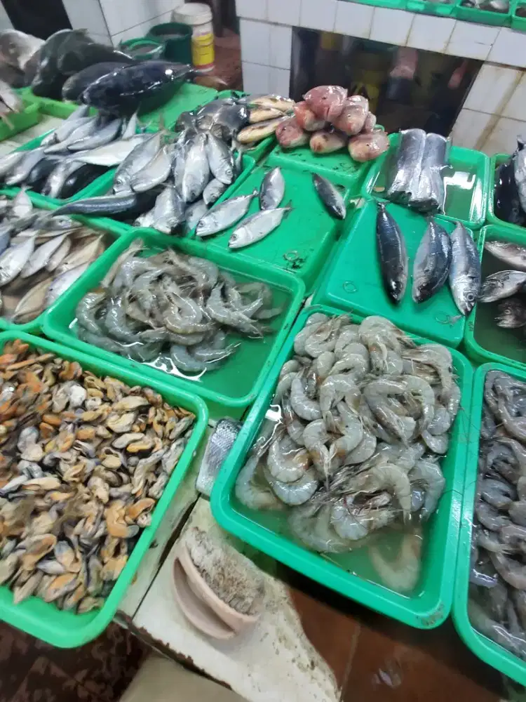 GRATIS ONGKIR IKAN SEGAR MURAH
