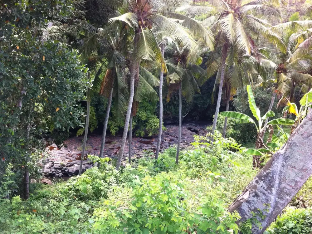 Disewakan Tanah 18 are Riverview di Buwit, Dekat Canggu, Bali