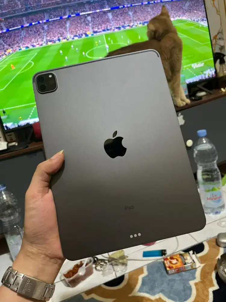 IPad Pro 256GB inter