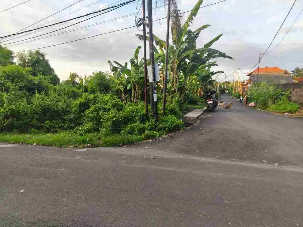 dijual tanah 12,31 are IDR 550 juta per are dekat pantai Balangan Jimbaran Kuta Selatan Badung Bali