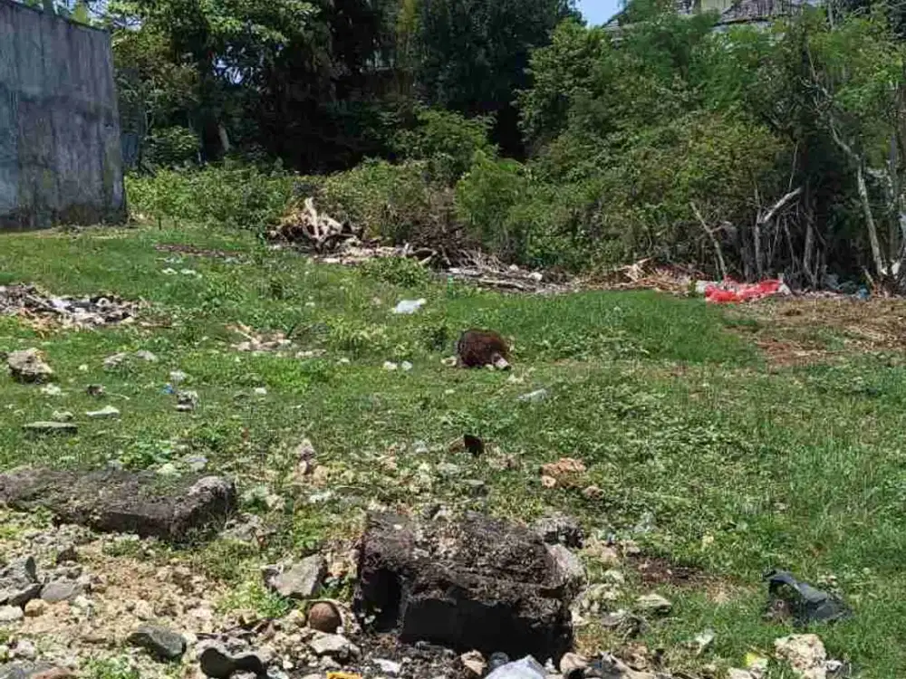 dijual tanah 300 M2 IDR 600 juta per are kawasan GWK ungasan Badung Bali