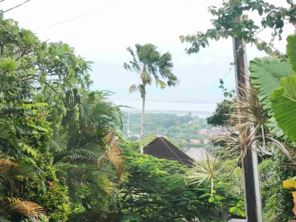 dijual tanah 4 are IDR 750 juta per are dekat hotel four points GWK ungasan Kuta Selatan Badung Bali