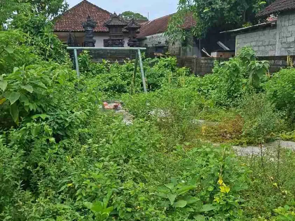 dijual tanah plot Kecil 1,70 are IDR GLOBAL 900 juta di jalan petasikan jimbaran Kuta Selatan Badung Bali