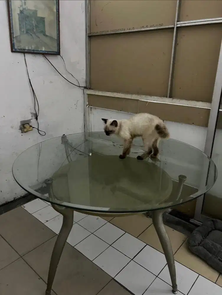 Meja Makan dan 4 Kursi