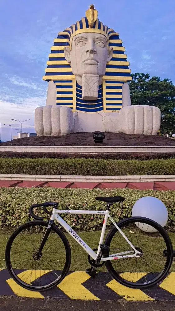 Sepeda Fixie Brain Atales sz 50