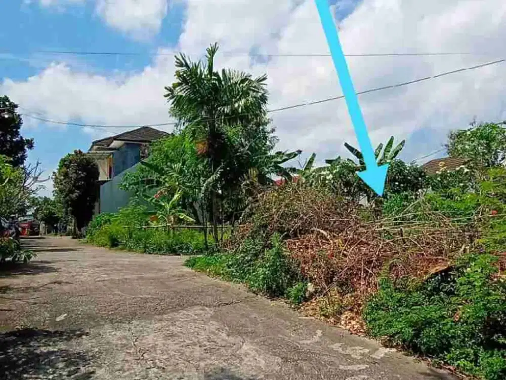 tanah Purwomartani kalasan