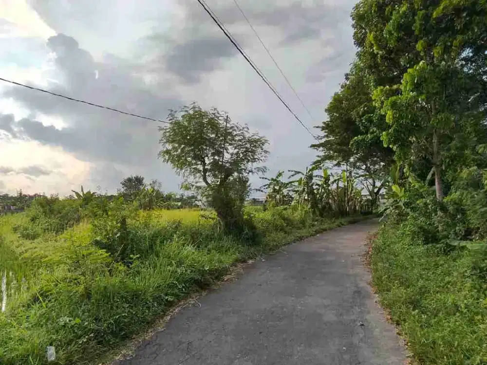 tanah Sardonoharjo Ngaglik