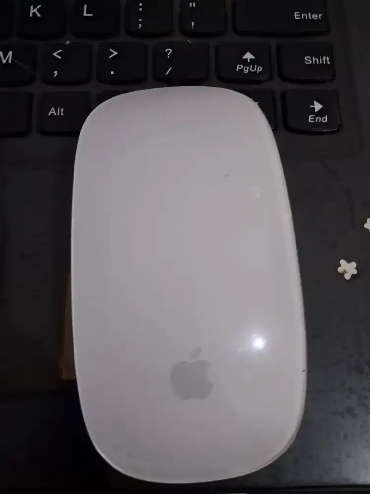 apple magic mouse generasi pertama normal