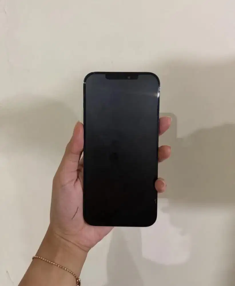 Iphone 12 PROMAX 256 GB ex digimap