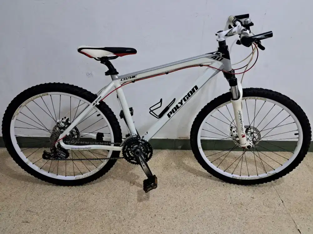 MTB Polygon Cozmic CX 4.0