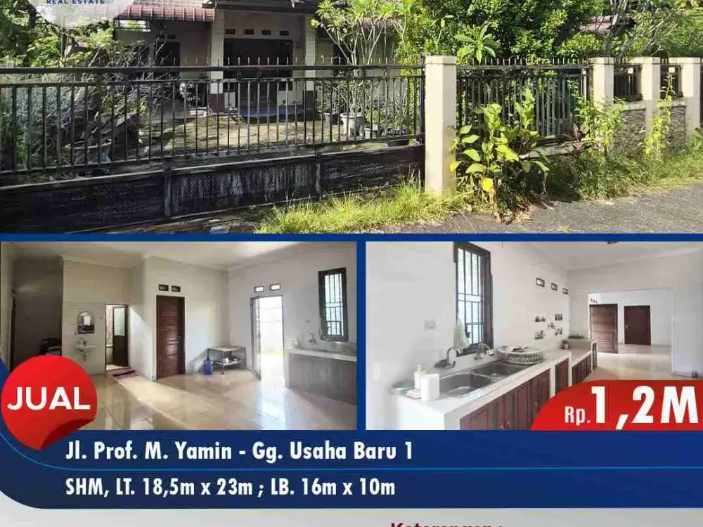 Rumah 1 Lantai Halaman Luas