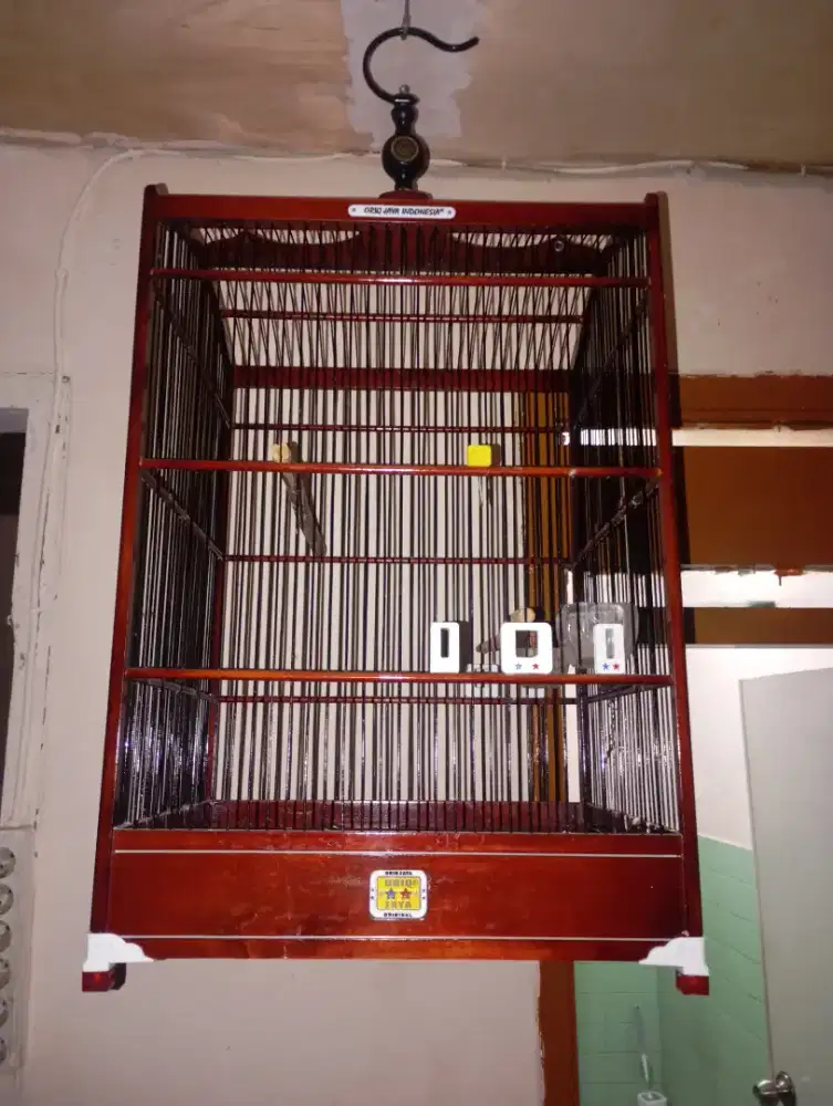 Sangkar QriQ no 1 paling besar, seperti baru