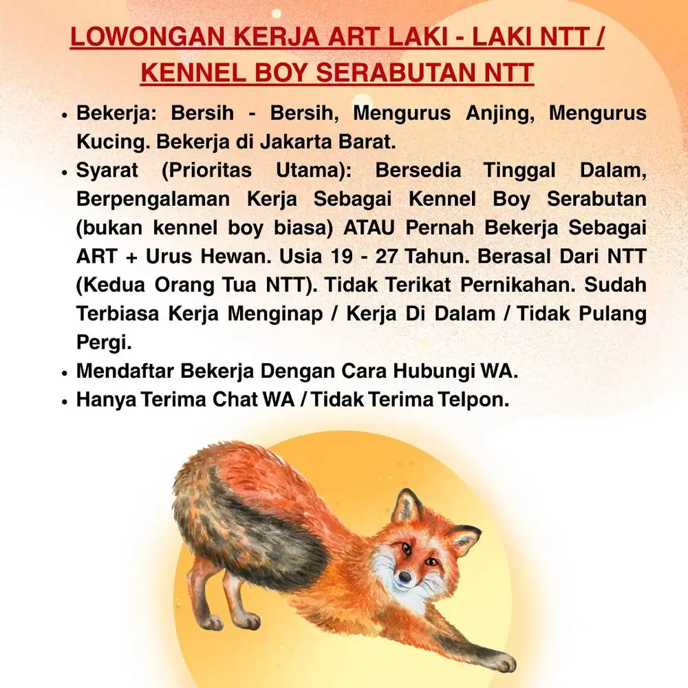 ART LAKI - LAKI / KENNEL BOY SERABUTAN ASAL NTT MENGINAP