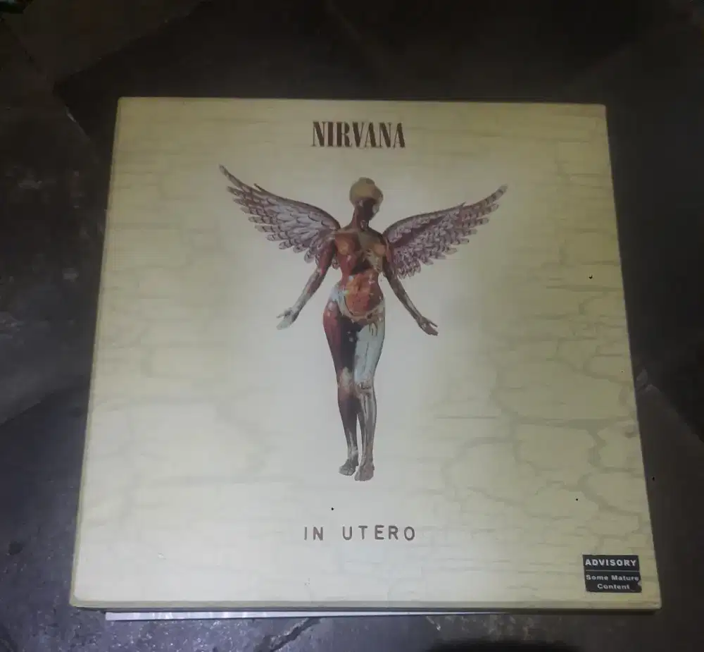 Cd nirvana in utero 20 thn anniversary deluxe