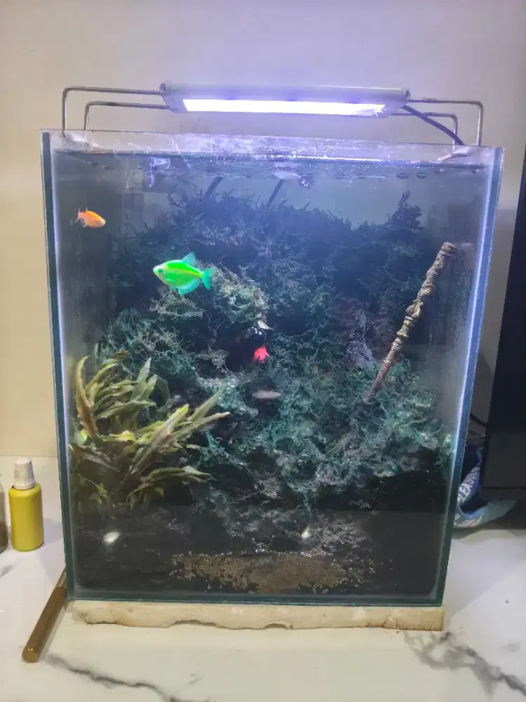 Jual aquarium beserta pelengkapnya