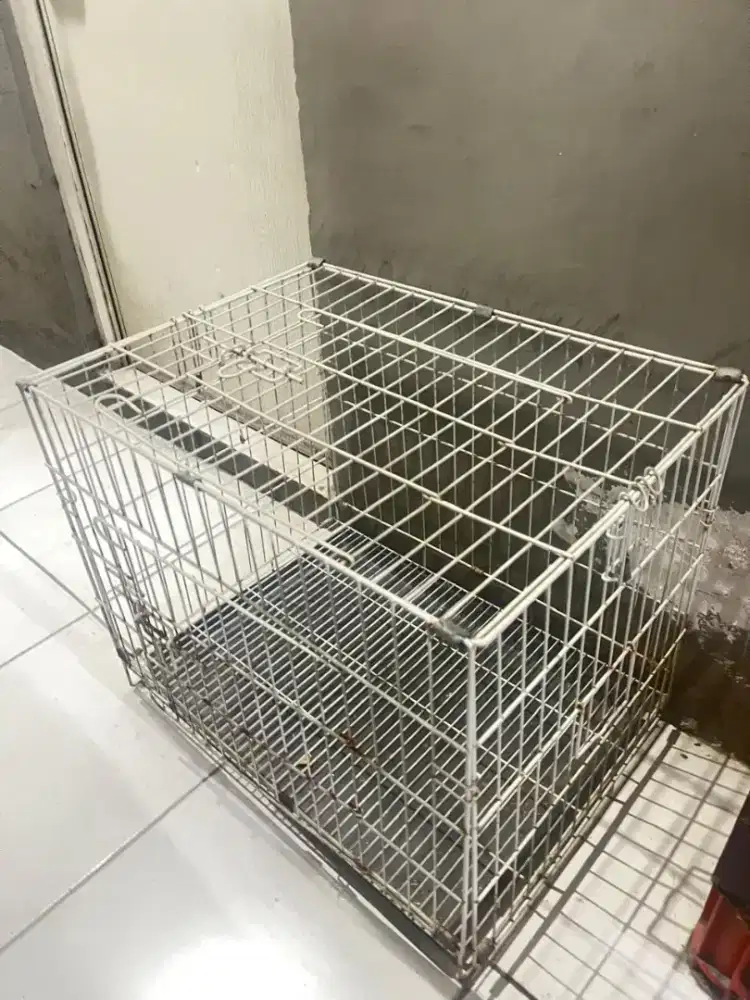 Kandang kucing murah meriah