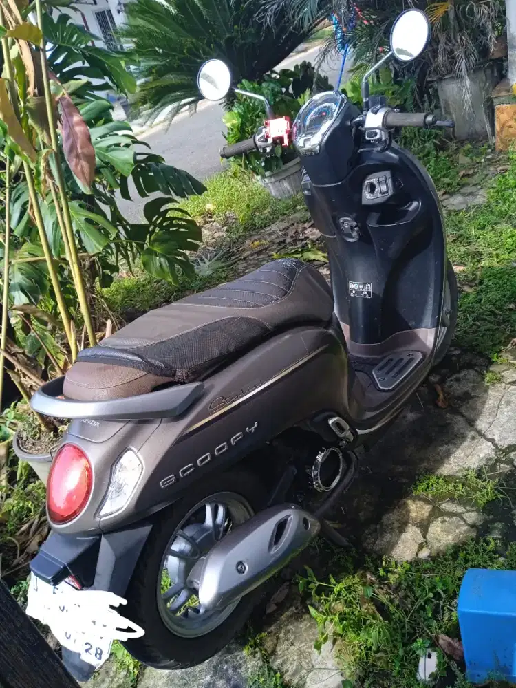 Scoopy keyless 2023